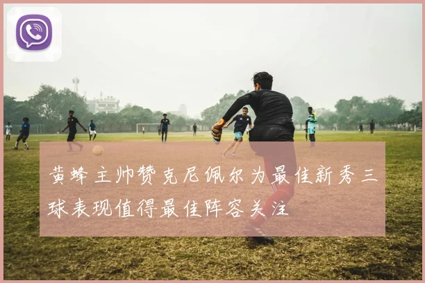 黄蜂主帅赞克尼佩尔为最佳新秀三球表现值得最佳阵容关注
